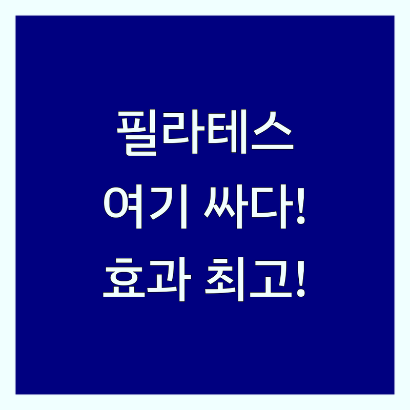 경기 용인 성남 동대문 노인 필라테스 저렴한 곳 추천 | 시니어 필라테스 비용 가격 잘하는 곳 | 실버 필라테스 체형교정 재활 | 통증 완화 근력 강화 유연성 증진 | 방문 후기 전문 강사 개인 레슨 그룹 수업