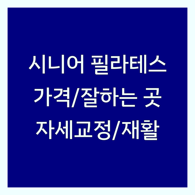 노년층 필라테스 전문 스튜디오 추천 | 시니어 필라테스 비용 가격 잘하는 곳 | 자세교정 통증완화 재활운동 | 개인레슨 그룹레슨 상담 | 실버케어 건강관리 활력증진