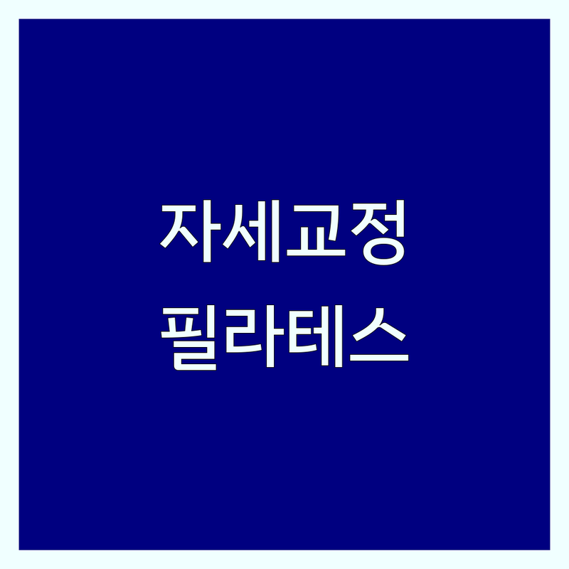 서울 필라테스자세교정 추천 | 제 삶의 일부가 된 기구필라테스 매트필라테스 | 체형교정 거북목 굽은등 통증 완화 비용 가격 | 전문강사 개인레슨 그룹레슨 | 솔직 후기 공유