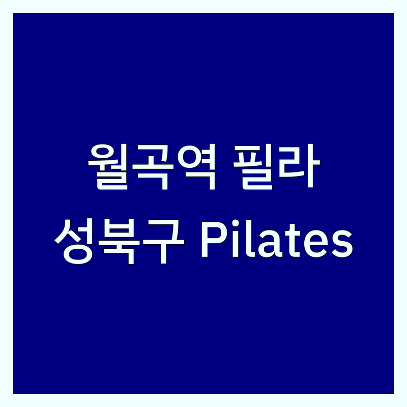 월곡역 종암동 필라테스재활 저렴한 곳 업체 추천 | 성북구 필라테스 가격 잘하는 곳 | 체형교정 다이어트 산전산후 개인 그룹 레슨 | 재활운동 키즈 안티에이징 맨즈 필라테스 | 솔직 경험담과 효과 비교 분석