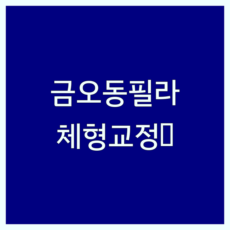 의정부 금오동 필라테스체형교정 저렴한 곳 업체 추천 | 의정부필라테스 비용 잘하는 곳 | 개인레슨 듀엣레슨 그룹레슨 | 체형교정 다이어트 재활 산전산후 | 주차 바우처 가능