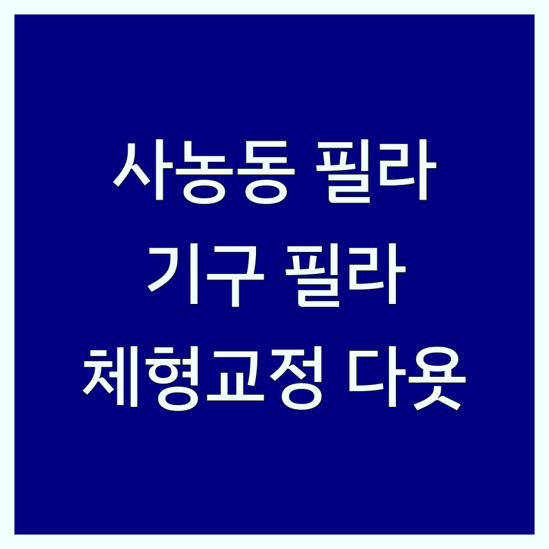 춘천 사농동 우두동 필라테스 저렴한 곳 가격싼 곳 업체 추천 | 기구필라테스 비용 가격 잘하는 곳 | 그룹레슨 개인레슨 | 주차 무료상담 | 체형교정 다이어트 자세교정