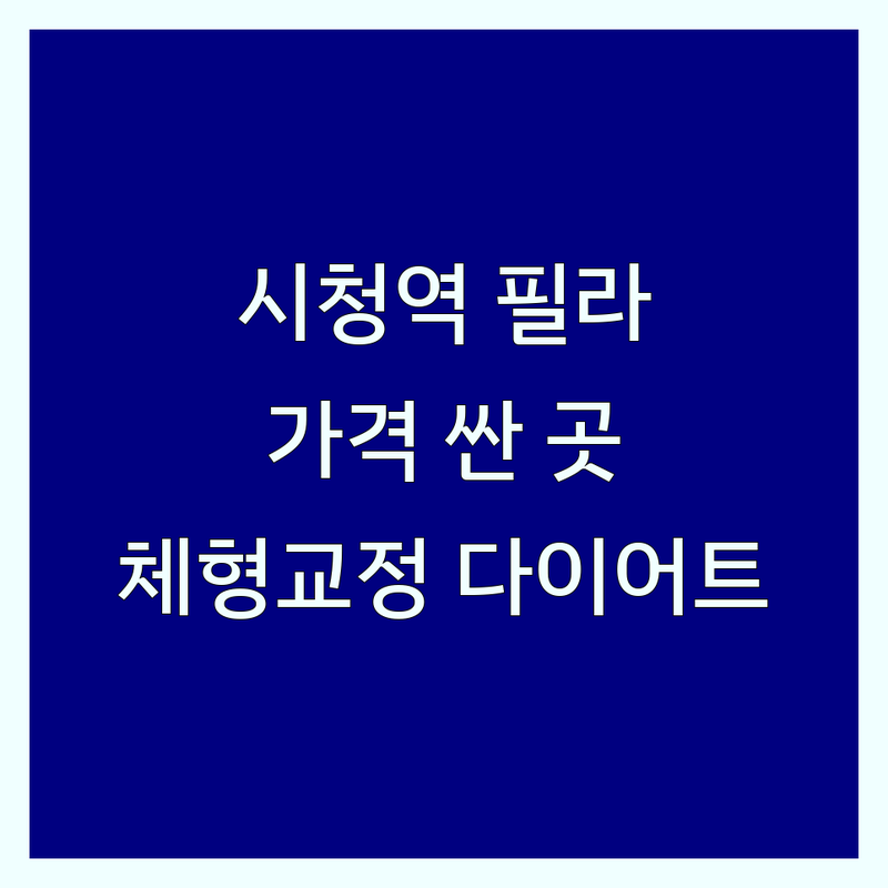시청역 필라테스 저렴한 곳 가격싼 곳 업체 추천 | 필라테스 비용 가격 잘하는 곳 | 기구필라테스 재활필라테스 맨즈필라테스 | 체형교정 자세교정 다이어트 | 임산부필라테스 3D체형분석
