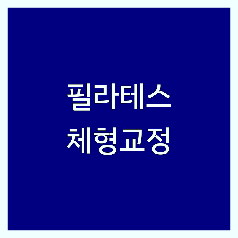 서울 종로구 마포구 필라테스재활 저렴한 곳 업체 추천 | 재활필라테스 비용 가격 잘하는 곳 | 체형교정 통증관리 임산부필라테스 | 개인레슨 그룹레슨 | 전문가 노하우 친절 시설 좋은 곳
