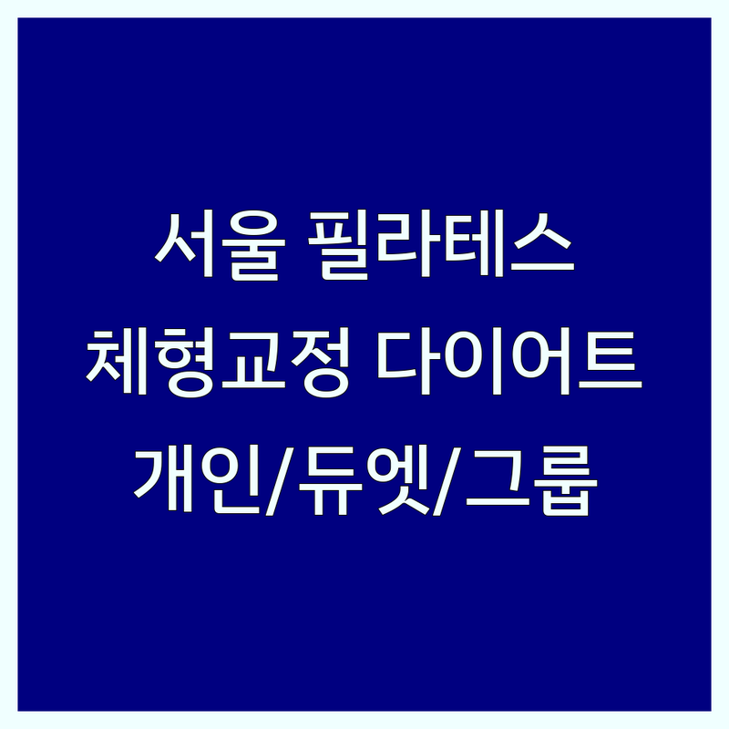 서울 필라테스 근력강화 스튜디오 추천 | 체형교정 다이어트 몸매관리 잘하는 곳 | 개인레슨 듀엣레슨 그룹레슨 | 산전산후 재활운동 | 주차가능 역세권
