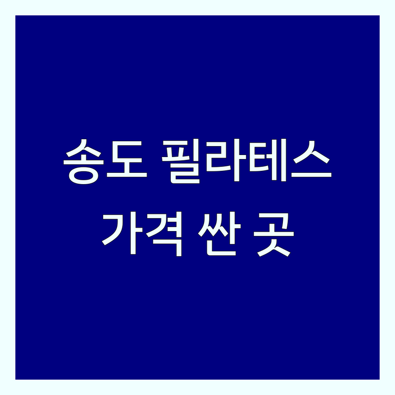 송도 필라테스 가격 저렴한 곳 업체 추천 | 송도동 필라테스 비용 가격 잘하는 곳 | 개인레슨 듀엣레슨 그룹레슨 | 재활 산전산후 체형교정 | 주차가능 무료상담 예약