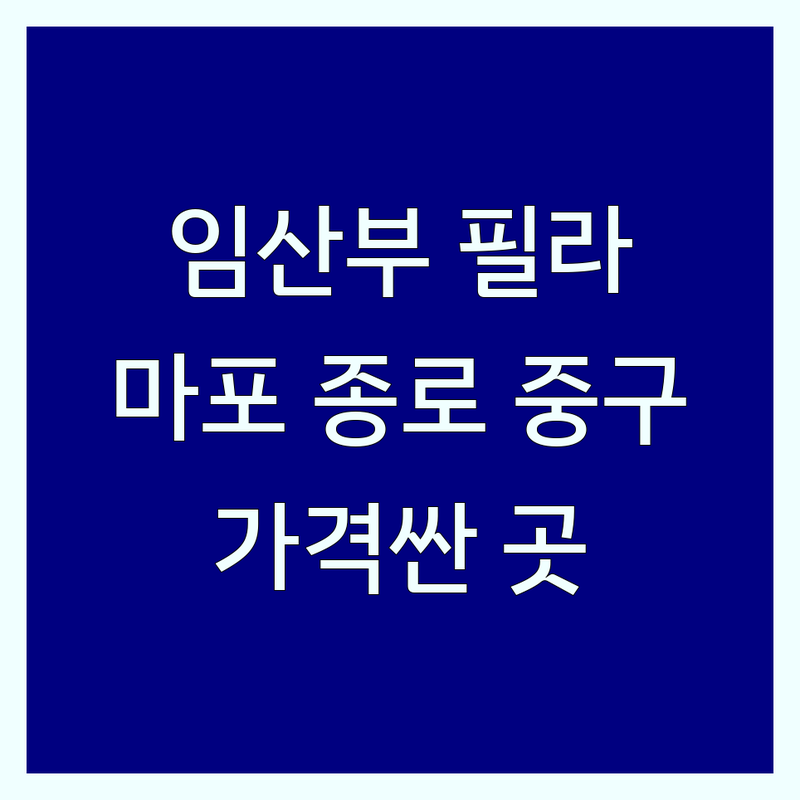 서울 마포 종로 중구 임산부 필라테스 저렴한 곳 가격싼 곳 업체 추천 | 산전산후 필라테스 비용 가격 잘하는 곳 | 개인레슨 듀엣레슨 그룹레슨 | 자세교정 재활 코어강화 체형교정 | 친절한 꼼꼼한 시설좋은 주차가능