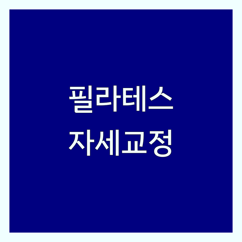서울 필라테스자세교정 저렴한 곳 가격싼 곳 업체 추천 | 필라테스 비용 가격 잘하는 곳 | 체형교정 재활운동 산전산후 다이어트 | 그룹레슨 개인레슨 듀엣레슨 무료상담 | 바른자세 통증케어 유연성향상 체력증진