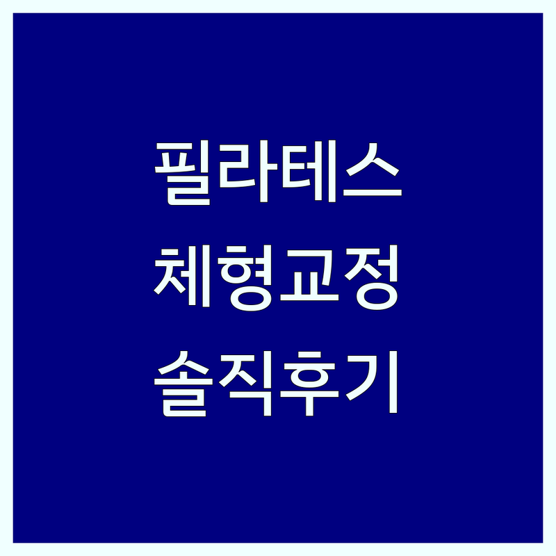 서울 을지로 용인 수지 동탄 필라테스 스트레칭 저렴한 곳 업체 추천 | 필라테스 비용 가격 잘하는 곳 | 1:1 개인 레슨 그룹 수업 체형교정 재활 | 다이어트 통증 완화 코어 강화 | 무료 체험 주차 가능 솔직 후기