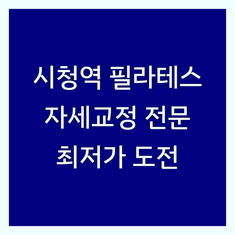 시청역 광화문 기구 필라테스 저렴한 곳 가격싼 곳 센터 추천 | 자세 체형 교정 비용 가격 잘하는 곳 | 1:1 개인레슨 그룹 필라테스 맨즈 필라테스 | 호텔식 사우나 EMS 병행 재활운동 | 직장인 주차가능 스케줄 유연 뷰맛집